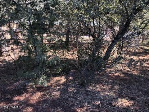 3810 N Anvil Rd, Pine, AZ 85544 photo 98