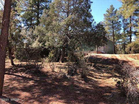 3810 N Anvil Rd, Pine, AZ 85544 photo 99