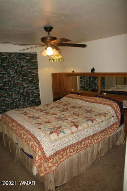 3810 N Anvil Rd, Pine, AZ 85544 photo 68
