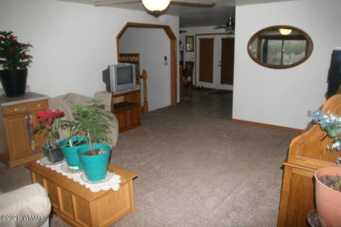 3810 N Anvil Rd, Pine, AZ 85544 photo 51