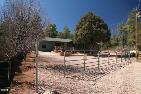 3810 N Anvil Rd, Pine, AZ 85544 photo 8