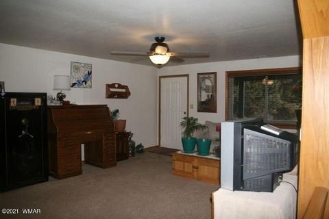 3810 N Anvil Rd, Pine, AZ 85544 photo 54