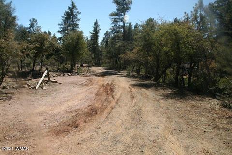 3810 N Anvil Rd, Pine, AZ 85544 photo 13