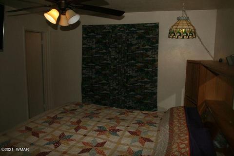 3810 N Anvil Rd, Pine, AZ 85544 photo 69