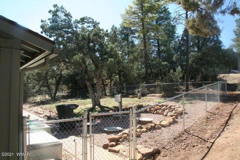 3810 N Anvil Rd, Pine, AZ 85544 photo 30