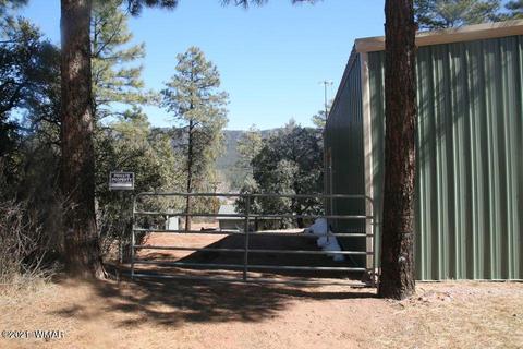 3810 N Anvil Rd, Pine, AZ 85544 photo 14