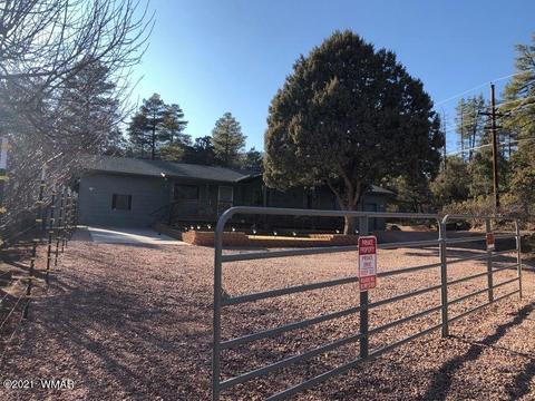 3810 N Anvil Rd, Pine, AZ 85544 photo 6