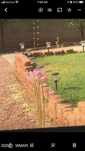 3810 N Anvil Rd, Pine, AZ 85544 photo 101