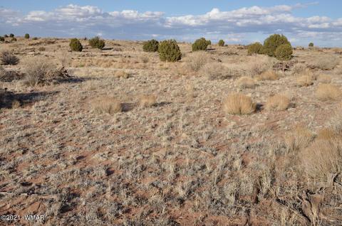 4920 Saddlehorn Rd, Snowflake, AZ 85937 photo 6