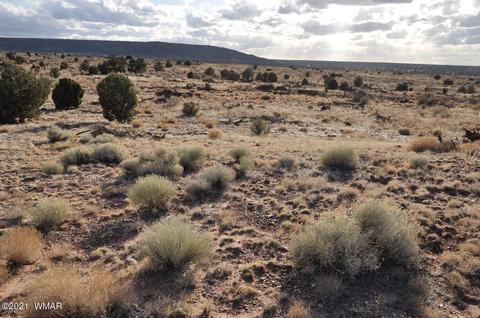 4920 Saddlehorn Rd, Snowflake, AZ 85937 photo 1