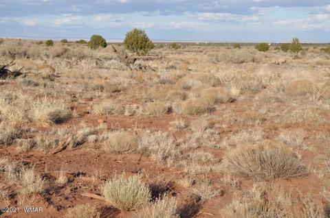 4920 Saddlehorn Rd, Snowflake, AZ 85937 photo 8