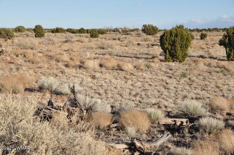 4920 Saddlehorn Rd, Snowflake, AZ 85937 photo 9