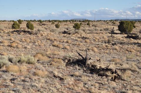 4920 Saddlehorn Rd, Snowflake, AZ 85937 photo 3