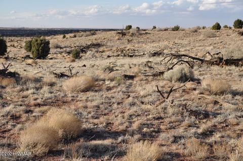 4920 Saddlehorn Rd, Snowflake, AZ 85937 photo 7