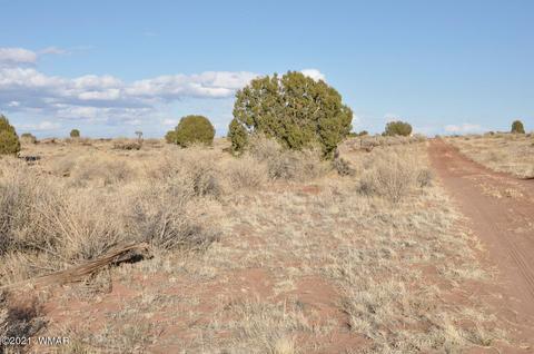 4920 Saddlehorn Rd, Snowflake, AZ 85937 photo 4