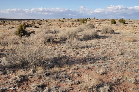 4920 Saddlehorn Rd, Snowflake, AZ 85937 photo 5