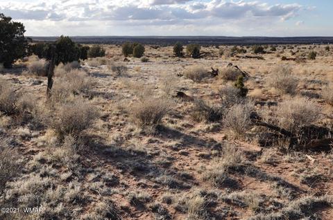4920 Saddlehorn Rd, Snowflake, AZ 85937 photo 2