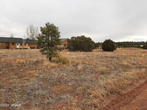 2258 Page Dr, Overgaard, AZ 85933 photo 1
