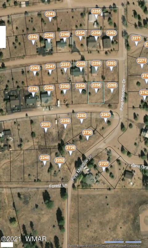 2258 Page Dr, Overgaard, AZ 85933 photo 4