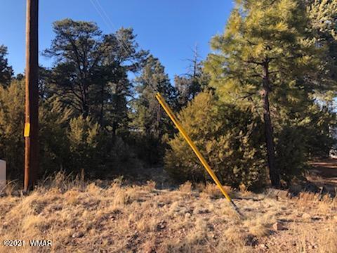 2136 Forest Park Dr, Overgaard, AZ 85933 photo 1