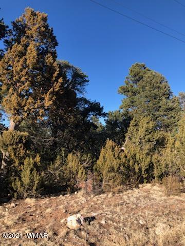 2136 Forest Park Dr, Overgaard, AZ 85933 photo 3