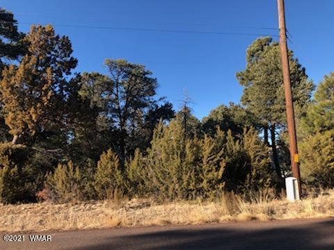 2136 Forest Park Dr, Overgaard, AZ 85933 photo 4