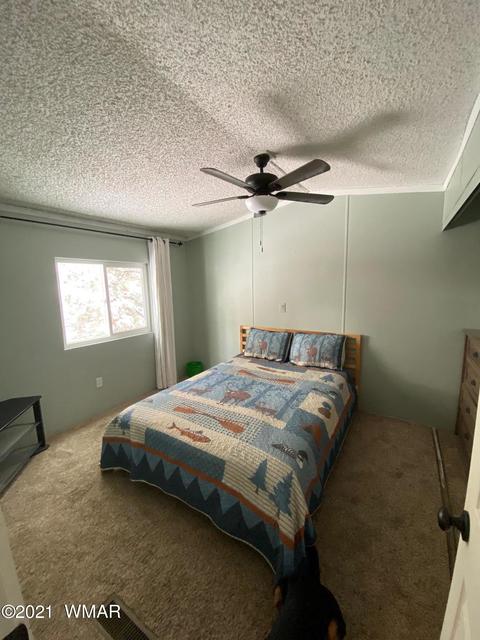 2853 Whispering Winds Dr, Overgaard, AZ 85933 photo 19