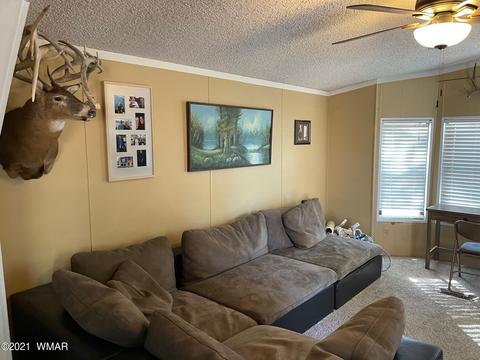 2853 Whispering Winds Dr, Overgaard, AZ 85933 photo 14