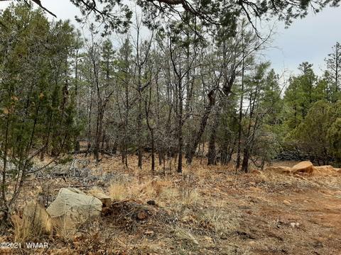 2792 High Ridge Rd, Overgaard, AZ 85933 photo 4