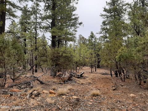 2792 High Ridge Rd, Overgaard, AZ 85933 photo 1