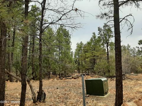 2792 High Ridge Rd, Overgaard, AZ 85933 photo 5