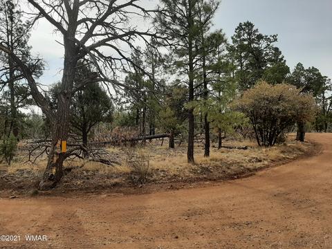 2769 High Ridge Rd, Overgaard, AZ 85933 photo 1