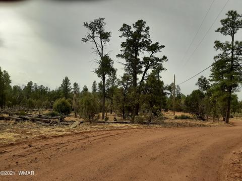 2769 High Ridge Rd, Overgaard, AZ 85933 photo 4