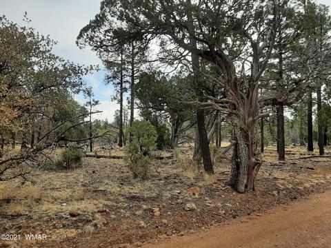 2769 High Ridge Rd, Overgaard, AZ 85933 photo 3