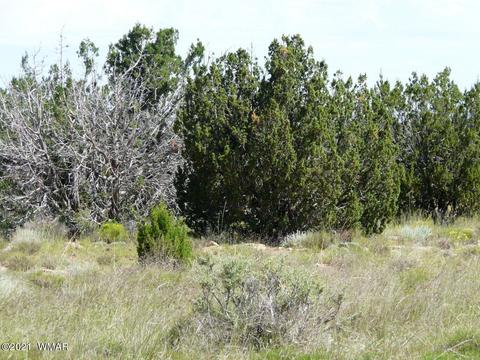 lot617 Serenity Ln #4, Heber, AZ 85928