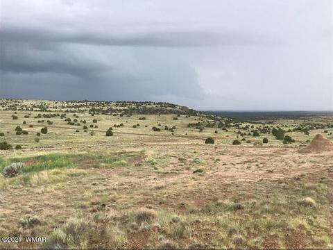 1900 Pinedale Rd, Taylor, AZ 85939