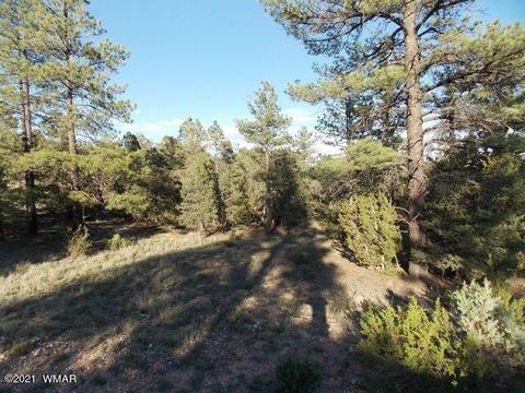 2945 Lodgepole Rd, Overgaard, AZ 85933 photo 7