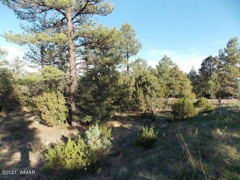 2945 Lodgepole Rd, Overgaard, AZ 85933 photo 6