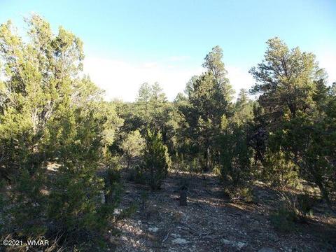 2945 Lodgepole Rd, Overgaard, AZ 85933 photo 3