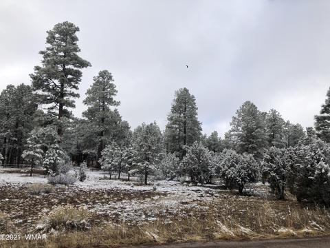 2209 Chevelon Rd, Overgaard, AZ 85933 photo 6