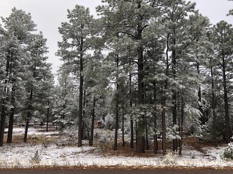 2209 Chevelon Rd, Overgaard, AZ 85933 photo 2