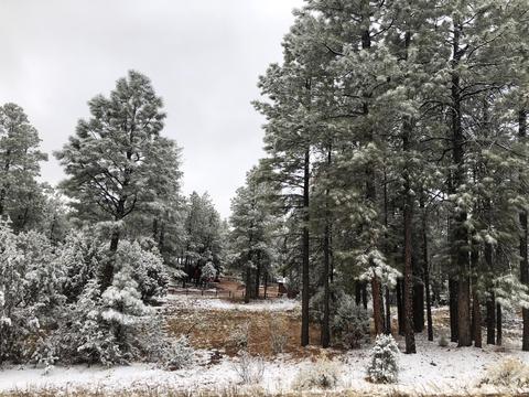 2209 Chevelon Rd, Overgaard, AZ 85933 photo 4