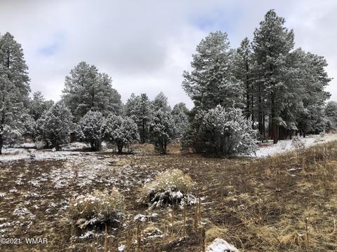2209 Chevelon Rd, Overgaard, AZ 85933 photo 5