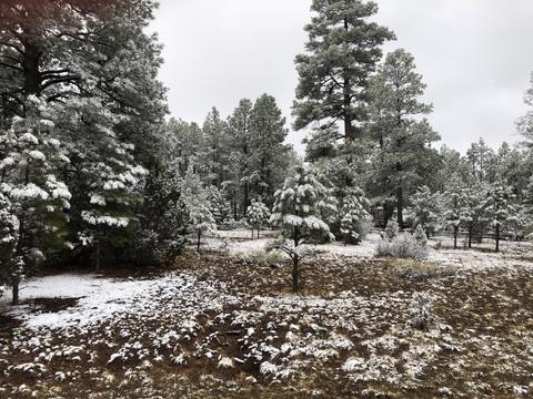 2209 Chevelon Rd, Overgaard, AZ 85933 photo 7
