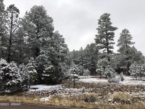 2209 Chevelon Rd, Overgaard, AZ 85933 photo 8