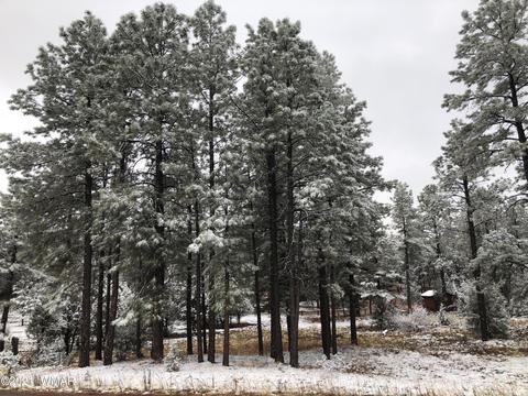 2209 Chevelon Rd, Overgaard, AZ 85933 photo 3