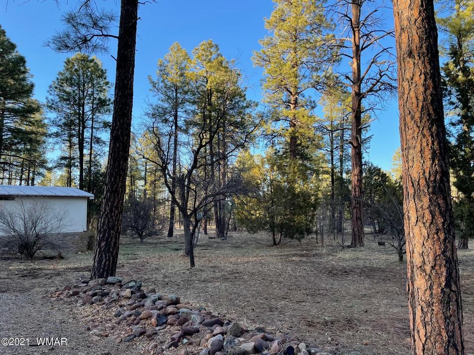 140 Whispering Pines Ln, Pinetop, AZ 85935 photo 5