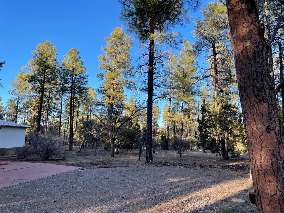  140 Whispering Pines Ln, Pinetop, AZ 85935 photo 2