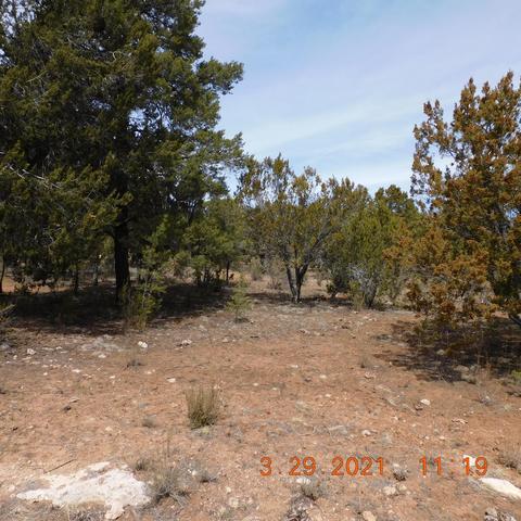 2862 Lodgepole Rd, Overgaard, AZ 85933 photo 5