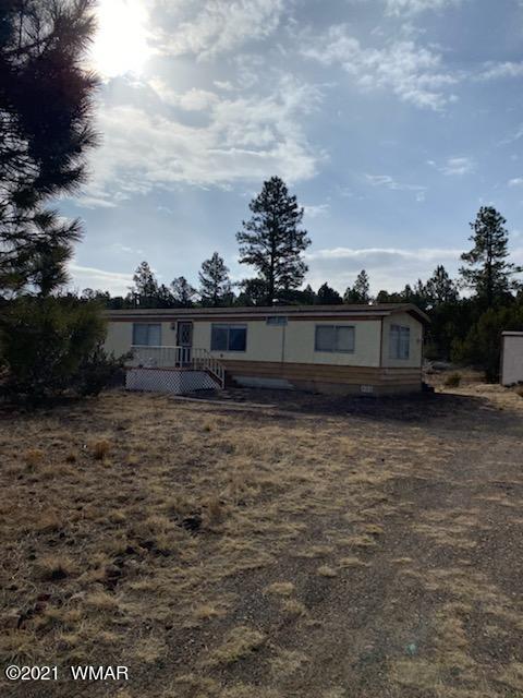 3207 Bigler Rd, Overgaard, AZ 85933 photo 1